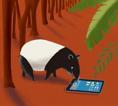 バクはiPadに夢中